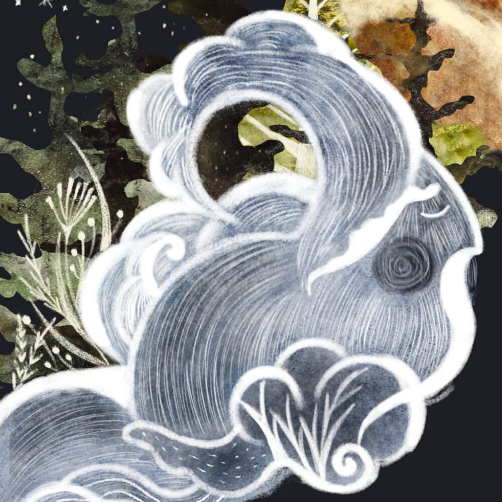 Мультфильм