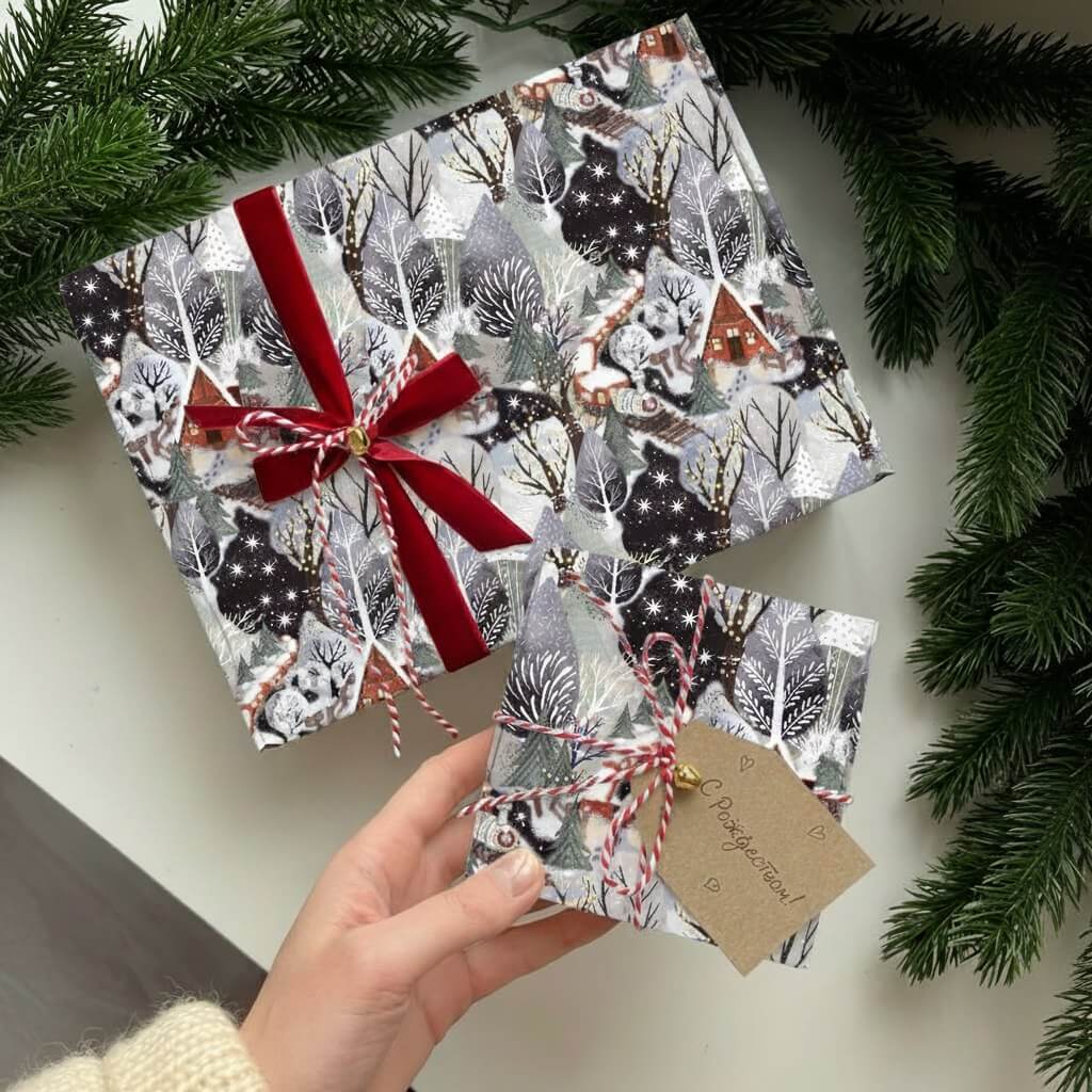 Снежный состав - изображение 3